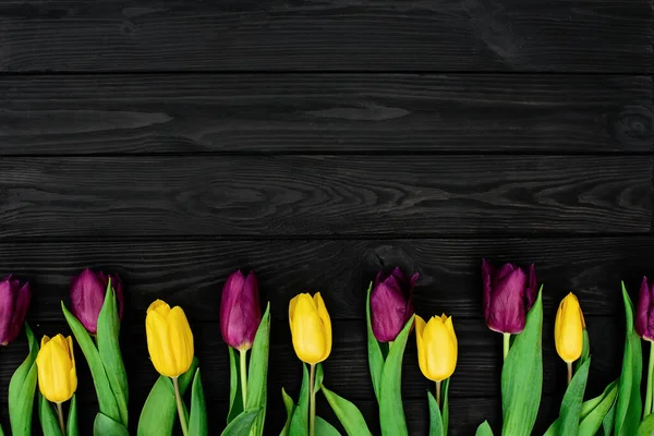 Una Fila Fiori Tulipano Primaverile Gialli Viola Uno Sfondo Legno — Foto Stock