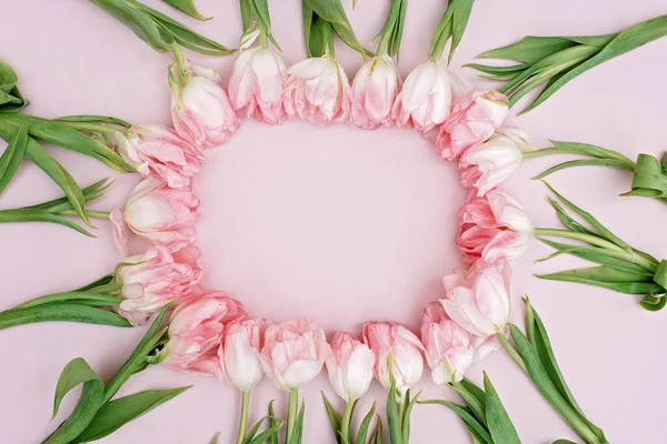 Modello Biglietto Auguri Primavera Fiori Freschi Tulipani Rosa Festa Della — Foto Stock