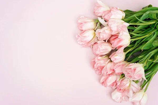 Άνοιξη Πρότυπο Ευχετήρια Κάρτα Από Φρέσκα Λουλούδια Ροζ Τουλίπες Για — Φωτογραφία Αρχείου