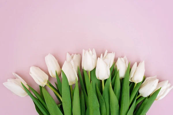 Spring greeting card template of fresh flowers of white tulips for Mother\'s Day, Birthday, Easter, Women\'s Day. Copy space. Soft selective focus.