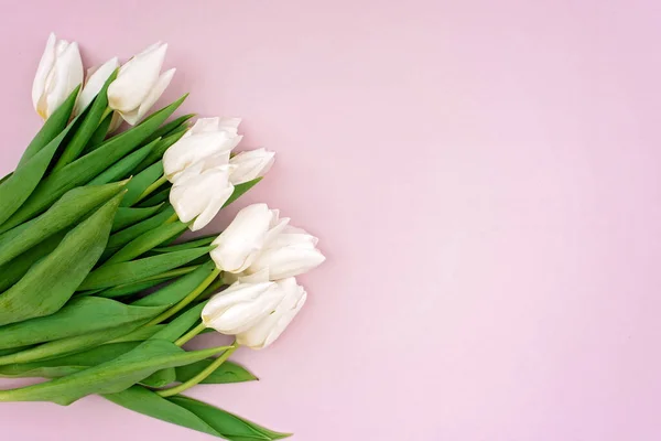 Modello Biglietto Auguri Primavera Fiori Freschi Tulipani Bianchi Festa Della — Foto Stock