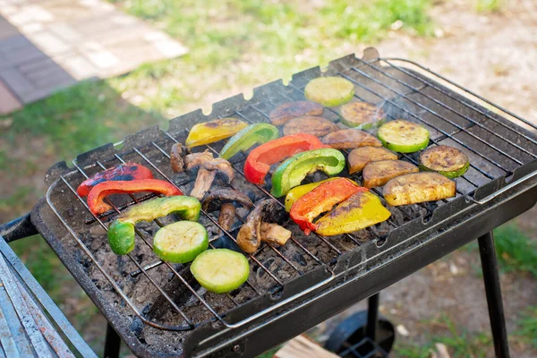 Légumes Frais Grillés Paprika Courgettes Aubergines Champignons Pique Nique Extérieur — Photo