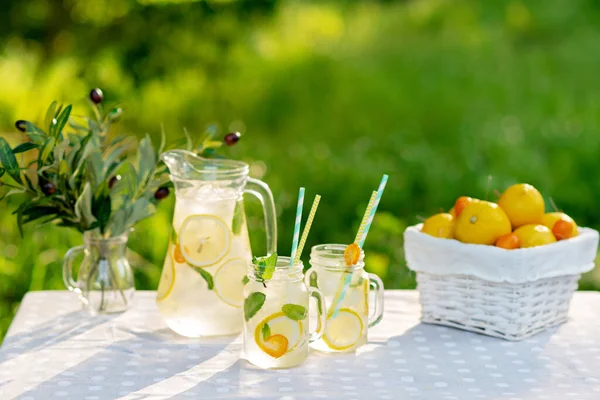 Limonata tazeleyici bir içecek ve limonlu kavanozlar, taze nane ve limon ve kumkatlı bir sepet buz. Yaz pikniği. Yumuşak seçici odak.