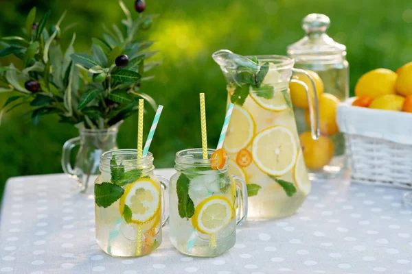Limonata tazeleyici bir içecek ve limonlu kavanozlar, taze nane ve limon ve kumkatlı bir sepet buz. Yaz pikniği. Yumuşak seçici odak.