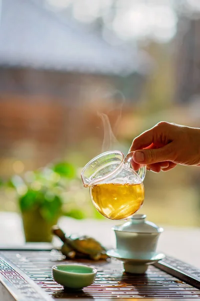 Hot green tea with steam in a transparent teapot in hand against the background of a window. Tea ceremony. Oolong