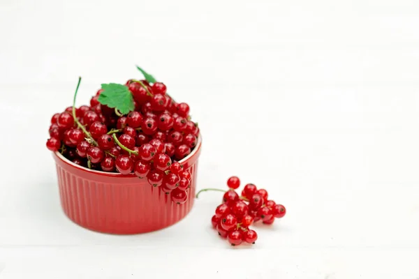 Красная Смородина Ягоды Кокоте Белом Фоне Естественные Витамины — стоковое фото