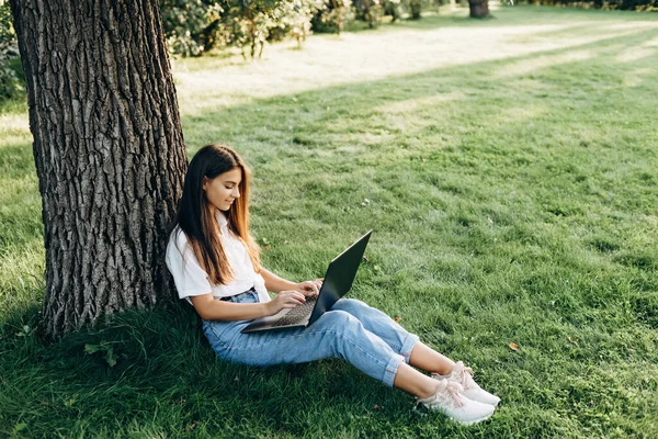 一个女学生带着笔记本电脑坐在公园的草地上 靠近一棵树 在网上冲浪或准备考试 教育和远程工作概念 软性选择性重点 — 图库照片