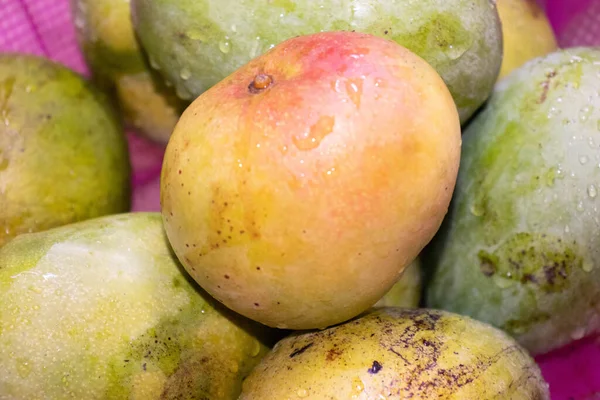 Heerlijk Fris Mooi Mango Tropisch Fruit — Stockfoto