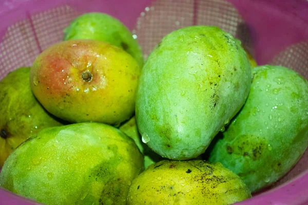 Heerlijk Fris Mooi Mango Tropisch Fruit — Stockfoto
