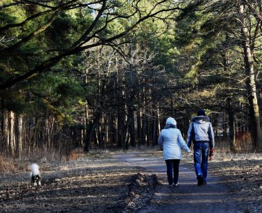 Genç evli bir çift bir köpekle parkta yürüyor.