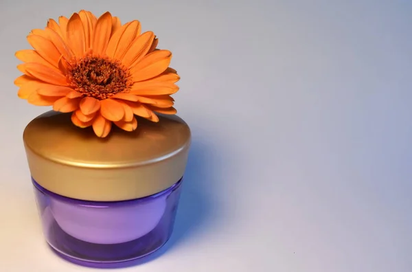 Leylak krema kavanozunda turuncu gerbera çiçeği.