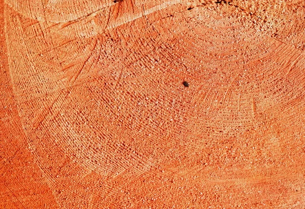 Devrilmiş bir ağacın kahverengi dokusuna yakın çekim