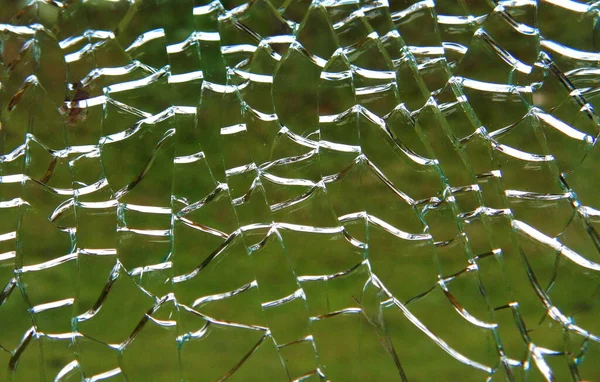 Kırık cam örümcek ağları yeşil çimenlerin arka planında
