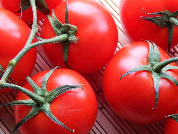 Olgunlaşmış domatesler bir dalın üzerinde Yakın bir dalın üzerinde