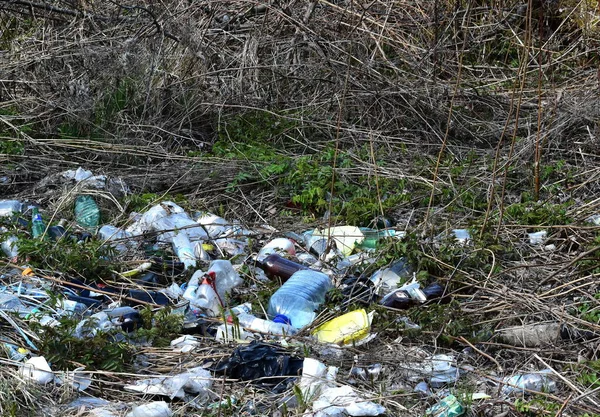 Tek kullanımlık tabaklar ve plastik şişelerden oluşan bir çöp yığını. Doğa kirliliği kavramı.