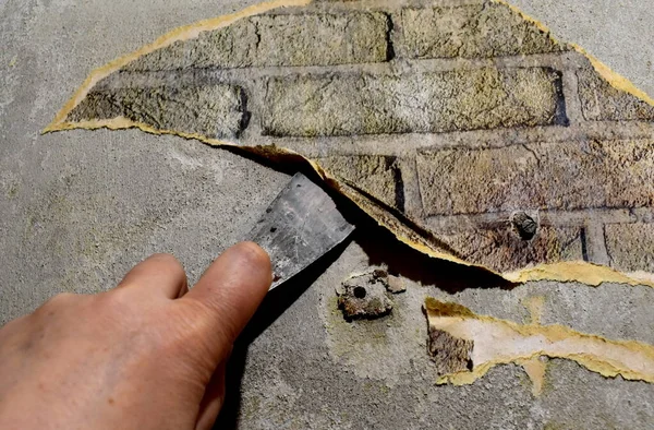 Hand Spatula Removes Old Wallpaper Wall Repair Home Premises — Stock Photo, Image