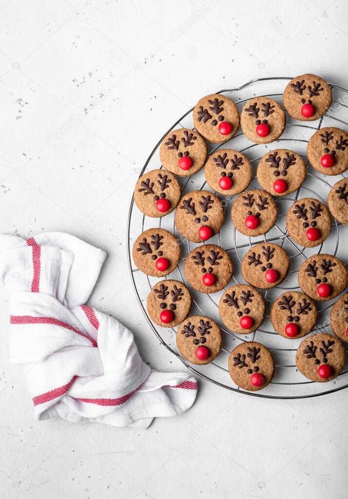 Christmas gingerbreads Santa Deer cookies
