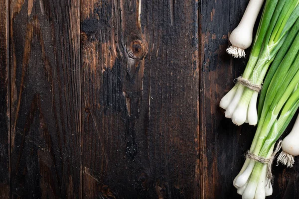 Green onions and garlic — Stock Photo, Image