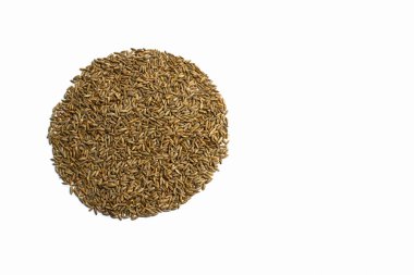 Beyaz zemin üzerinde daire şeklinde buğday taneleri