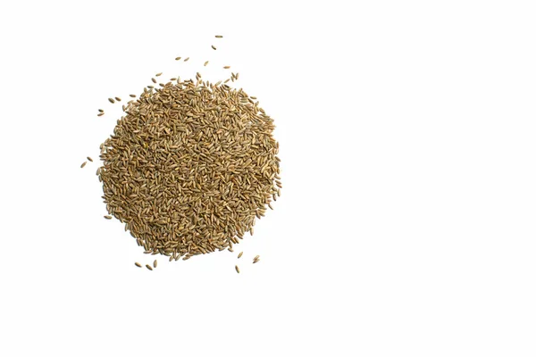 Пшеничні житні зерна вівса на білому тлі крупним планом — стокове фото