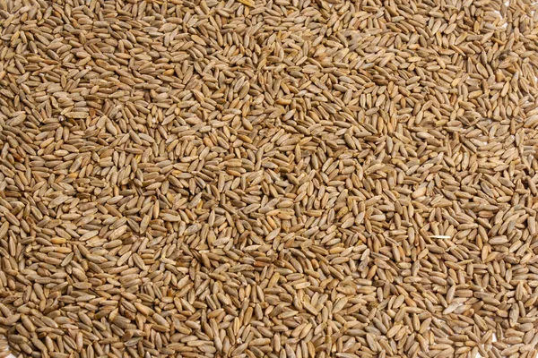 Weizen, Gerste, Roggen, Haferkörner Textur, Makroschuss — Stockfoto