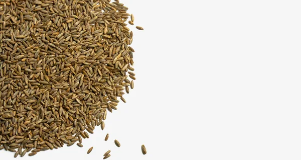 Зерна пшениці у вигляді півкола ізольовані, макрос — стокове фото