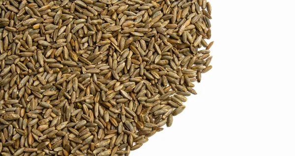 Weizenkörner in Form eines Halbkreises, isoliert — Stockfoto