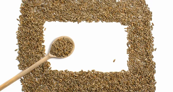 Telaio di chicchi di grano con cucchiaio di legno, isolato — Foto Stock