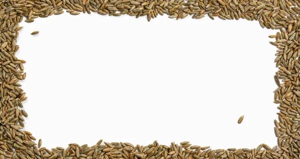 Beyaz arkaplandaki buğday taneleri çerçevesi izole edildi — Stok fotoğraf
