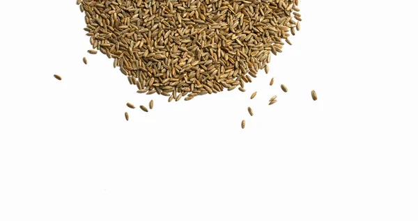 Pšeničná zrna ve formě půlkruhu izolovaná, makro — Stock fotografie