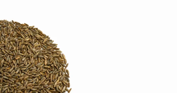 Weizenkörner in Form eines Halbkreises, isoliert — Stockfoto
