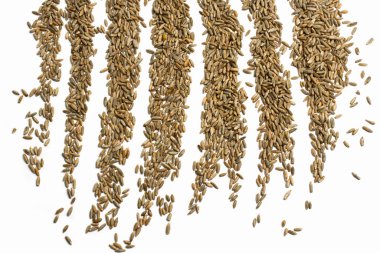 Yarı daire şeklinde buğday taneleri, izole edilmiş.