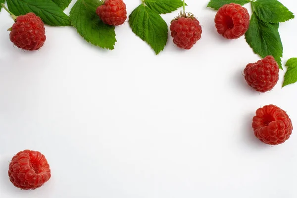 Ripe raspberries with leaves isolated — Stock Photo, Image