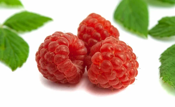 Three ripe raspberries isolate on white background — Stock Photo, Image