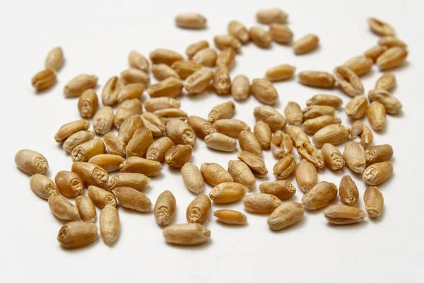 Grãos naturais de trigo seco sobre fundo branco. — Fotografia de Stock