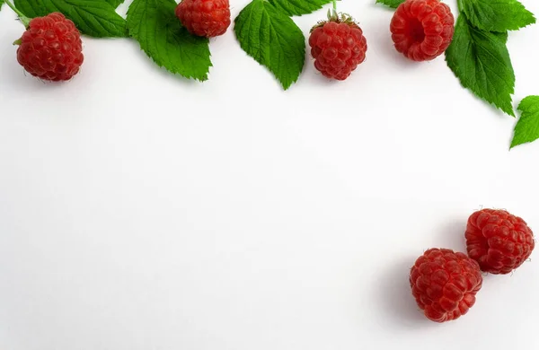 잎을 따로따로 떼어 놓은 리페 딸기 — 스톡 사진
