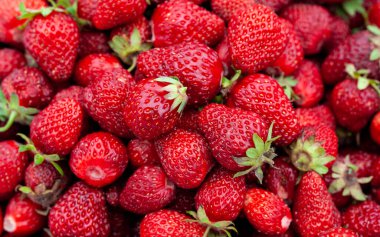 Taze toplanmış çilek arka planı