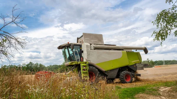 Combine harvester harvests ripe wheat in field — Stock Photo, Image