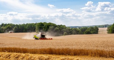 Buğday hasadı sırasında tarlada çalışan kombinasyonlar