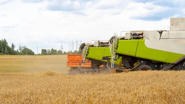 Buğday tarlasında hasat ve kamyonu birleştirin. — Stok fotoğraf
