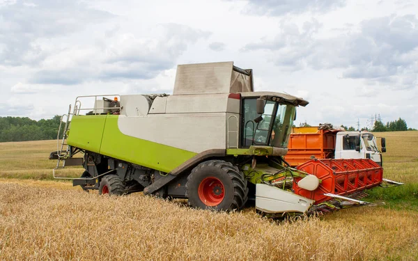 Buğday toplamak, tohumları kamyona yüklemek. — Stok fotoğraf