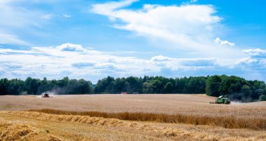 Buğday hasadı sırasında tarlada çalışan kombinasyonlar