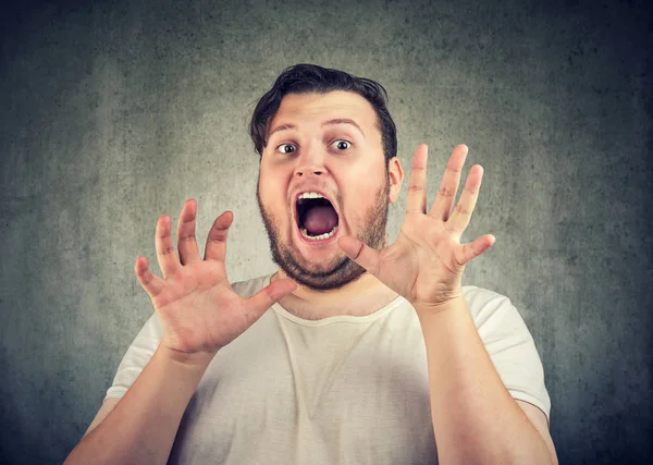 Yüz önünde elele ve gri arka plan üzerinde kameraya bakarak korkuyla çığlık tombul casual adam. 