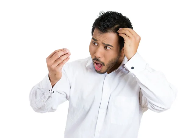 Closeup Portrait Man Feeling Head Surprised Shocked Losing Hair Isolated — Stock Photo, Image