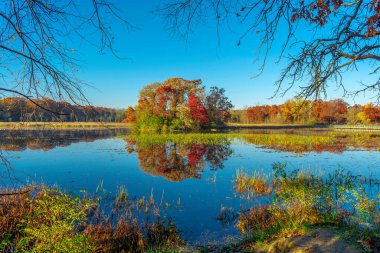 Michigan 'da yeşillik değişiminin resmi