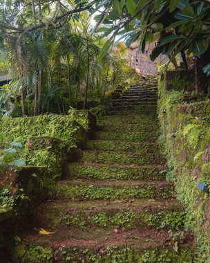 A stairway built from red laterite stones and leading up to the top, with moss and other vegetation grown on it during the monsoons, in Goa, India clipart