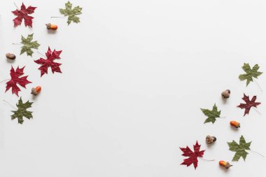Akçaağaç yaprakları / yaprak kuru kırmızı renkler sonbaharda mevsimsel olarak beyaz zemin üzerinde fotokopi alanı ile birlikte. Düz çizgi