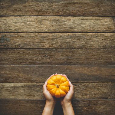 Şükran Günü arkaplanı, insan eli balkabağını ahşap masa zemininde fotokopi alanı ile tutuyor. Düz çizgi