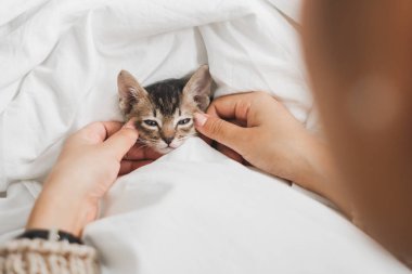 Genç Asyalı kadın sevimli kedisiyle sarılıp oynuyor. Sevimli bir anı, evcil hayvanı ve insan konseptiyle.