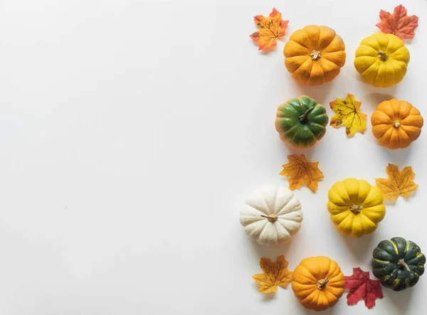 Thanksgiving Background Pumpkin Leaves Decoration White Background Copy Space Flatlay — Stock Photo, Image